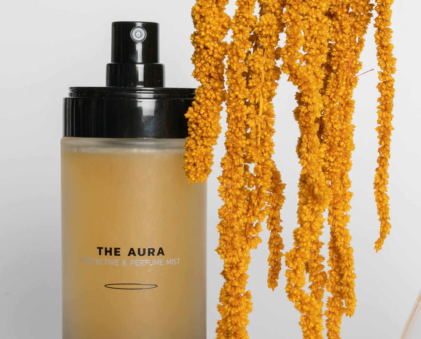 Pack - GrowingRoutin